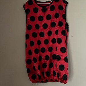 Adult Ladybug Costume Dress Set